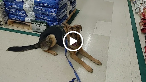 Farm Equipment Supplier «Family Farm & Home», reviews and photos, 66875 Gratiot Ave, Richmond, MI 48062, USA