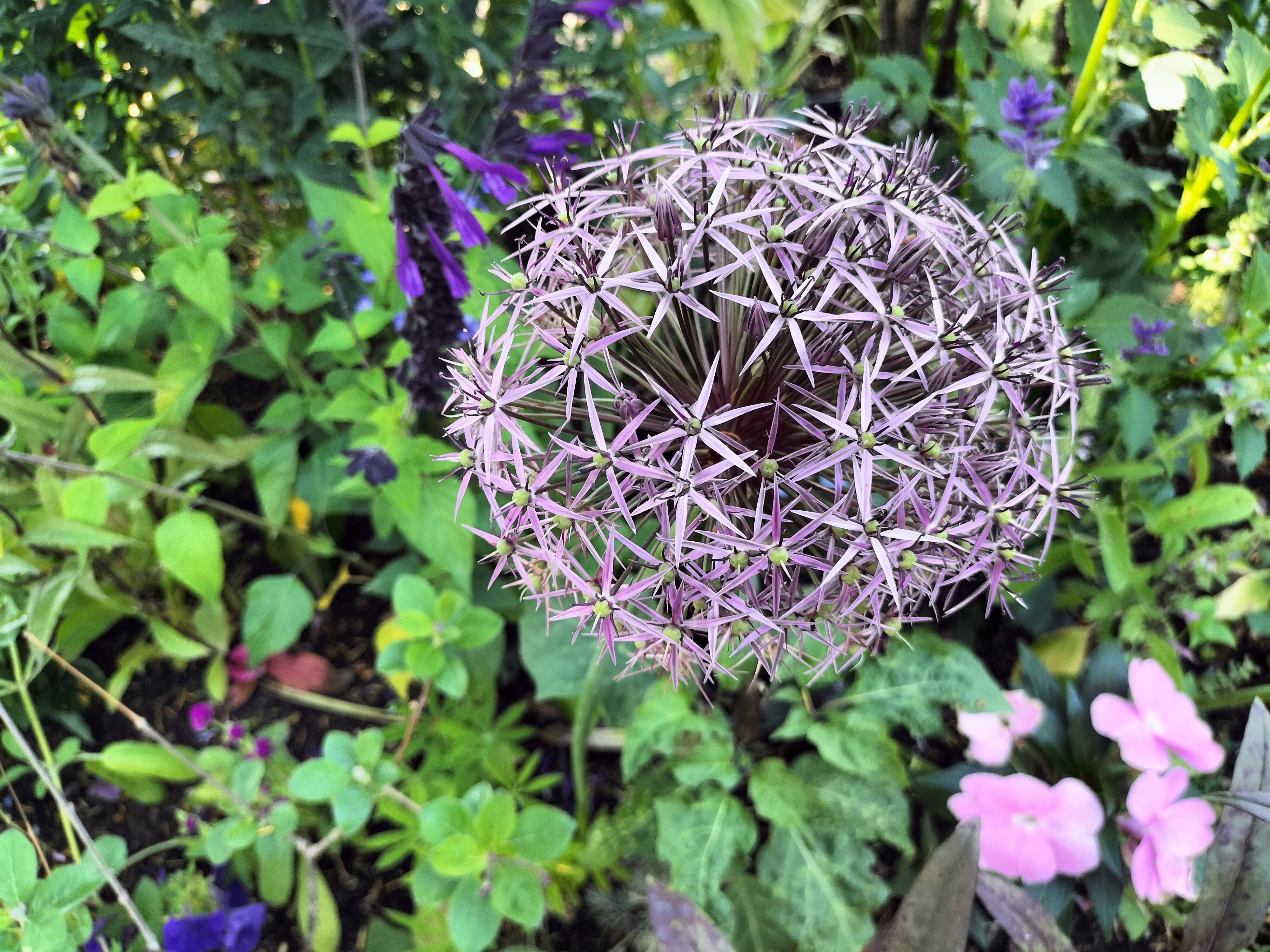 Photo n° 24 de l'avis de didier.e fait le 15/06/2023 à 13:38