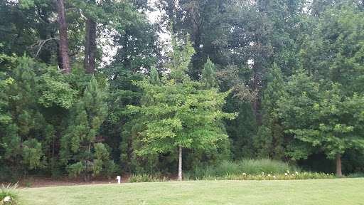 Park «Abernathy Greenway», reviews and photos, 70 Abernathy Rd NE, Sandy Springs, GA 30328, USA