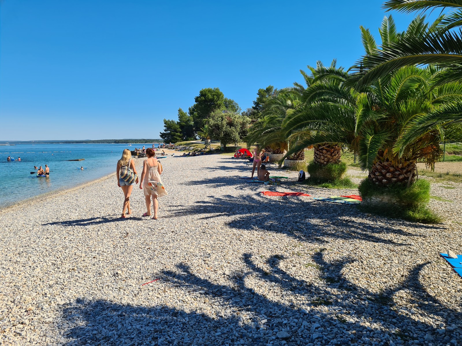 Vile beach'in fotoğrafı kısmen tatil bölgesi