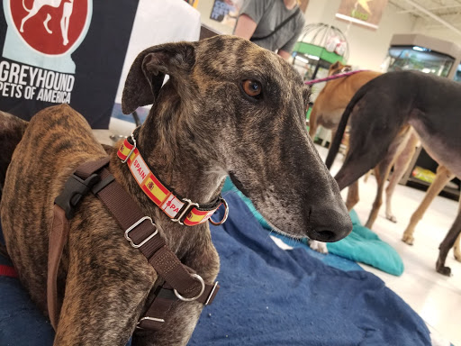 Pet Supply Store «Petco Animal Supplies», reviews and photos, 2277 Ford Pkwy, St Paul, MN 55116, USA