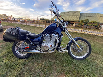 GLADIADOR MOTOCICLISTA INDEPENDIENTE