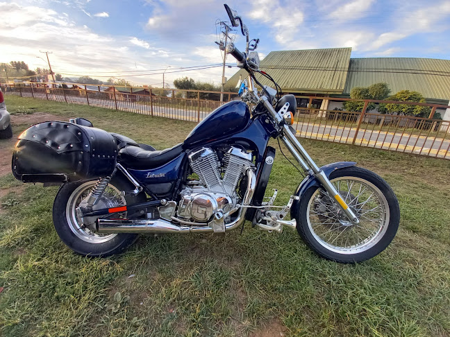 GLADIADOR MOTOCICLISTA INDEPENDIENTE