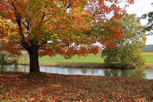 Art Center «Storm King Art Center», reviews and photos, 1 Museum Rd, New Windsor, NY 12553, USA