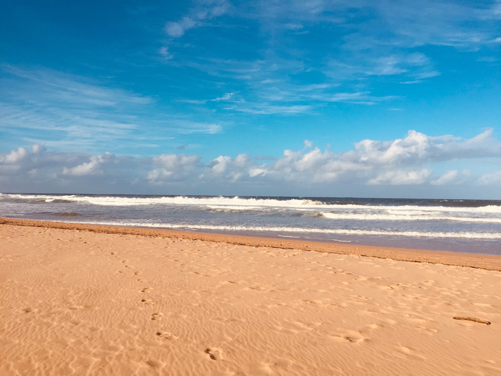 Foto de North Avoca Beach - bom local amigável para animais de estimação para férias