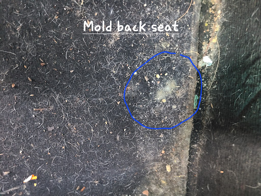 Ford Dealer «Denton Ford», reviews and photos, 1207 Double Hills Rd, Denton, MD 21629, USA