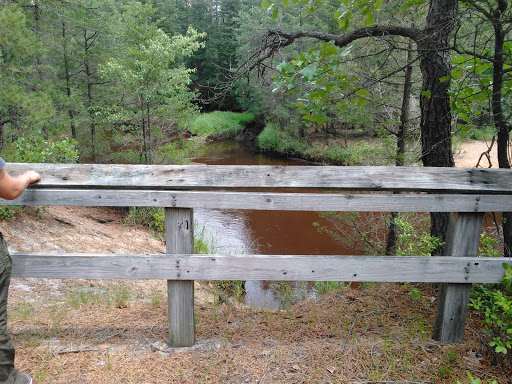 Public Golf Course «Hamilton Trails Golf Club», reviews and photos, 620 Harbor Ave, Mays Landing, NJ 08330, USA