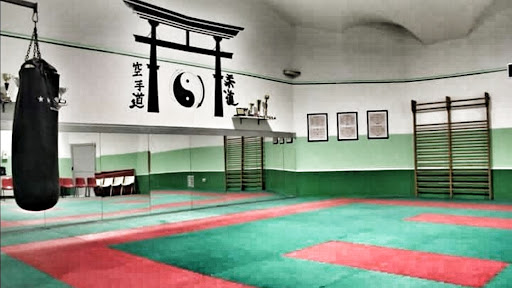 Judo classes Turin