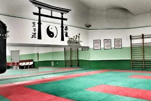 Dojo Kangei (Engym Sport ASD) - Judo image