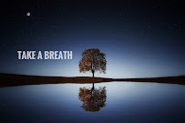 New Orchard Wellness - Photo 8 - Car repair in Durham, NC, Durham