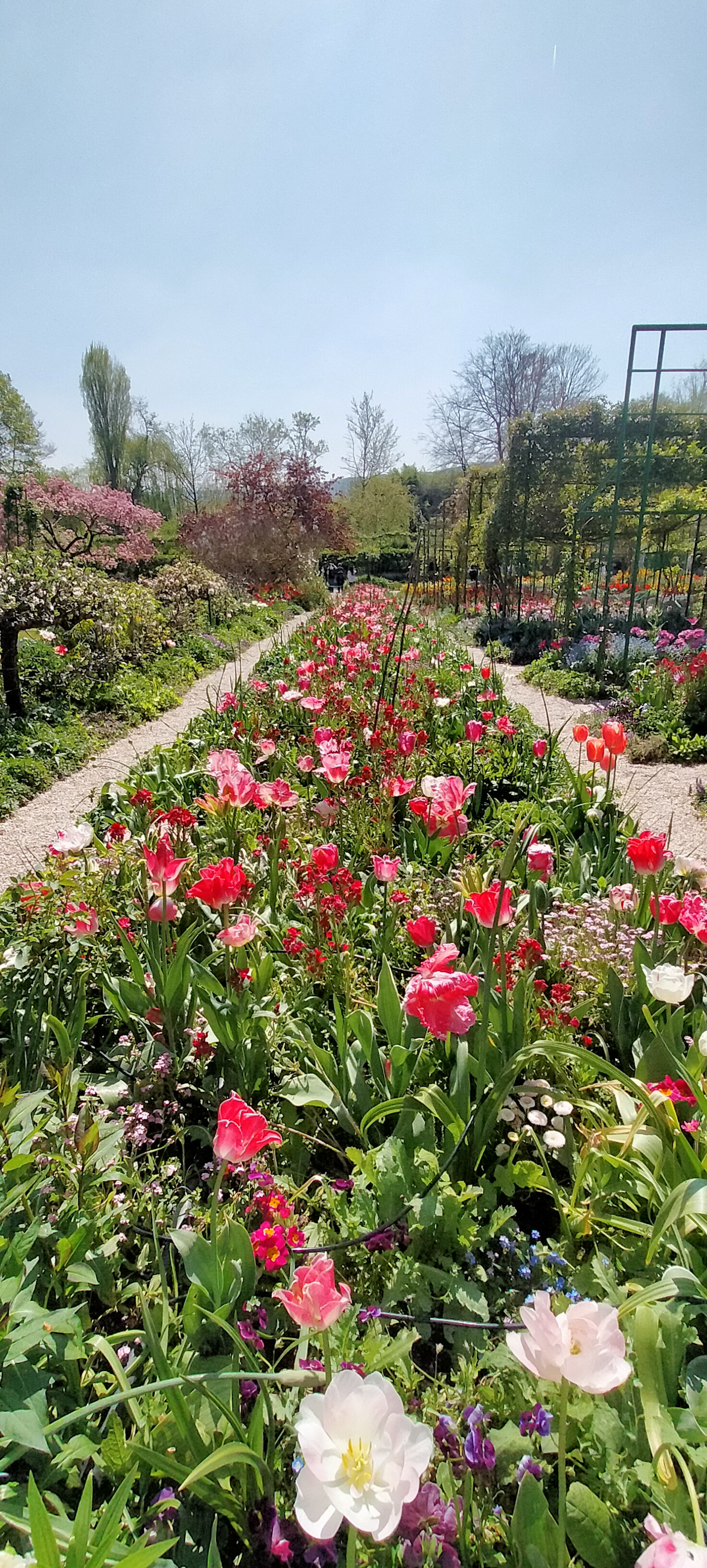 Photo n° 2 de l'avis de Kitou.i fait le 17/04/2022 à 02:10