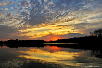 Nadezhda Photography - Photo 5 - Car repair in , Green Bay