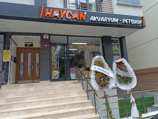 Haycan Akvaryum ve Petshop | Avcılar İstanbul - Evcil hayvan mağazası