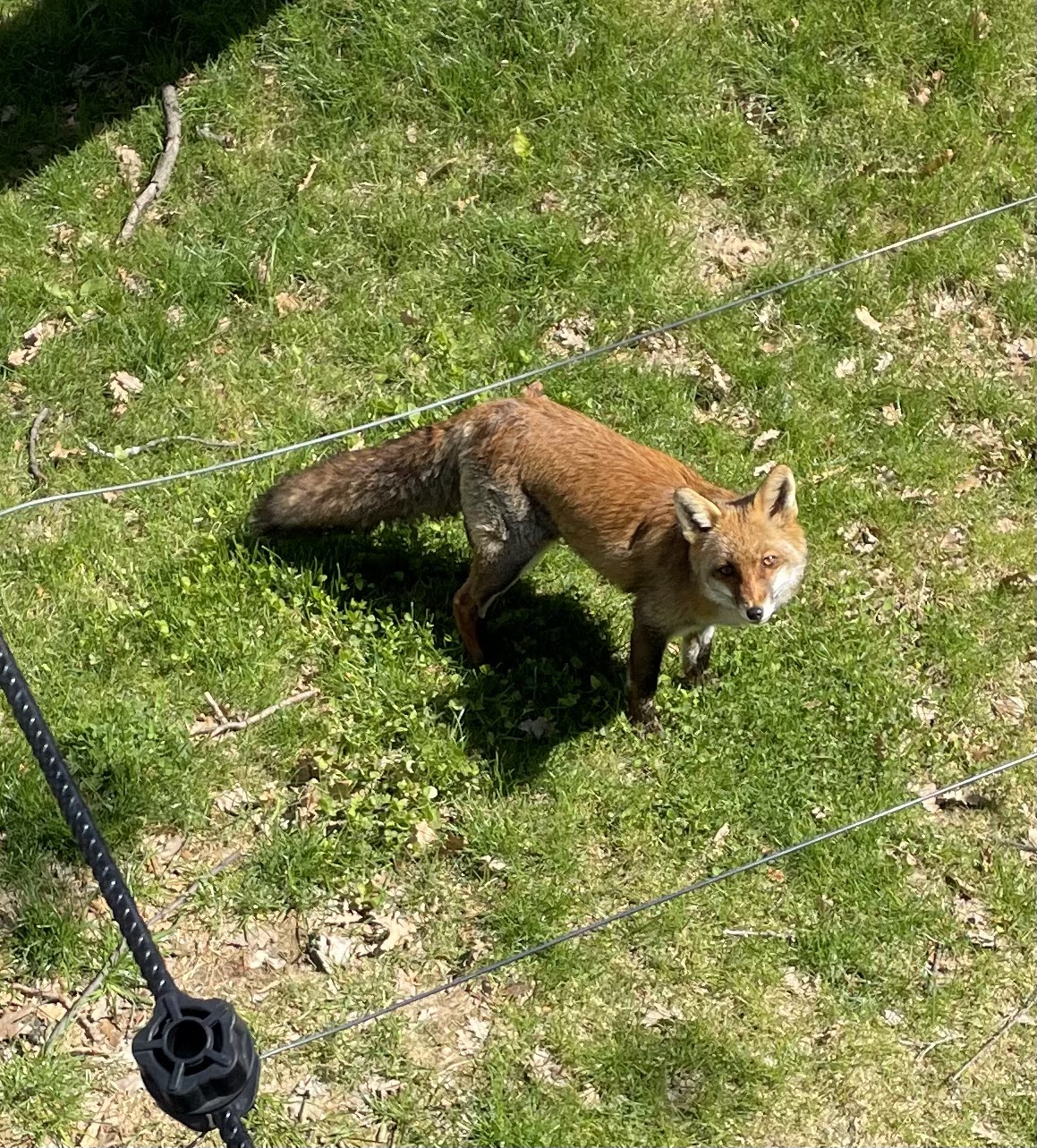 Photo n° 2 de l'avis de Anthony.a fait le 26/04/2022 à 14:57