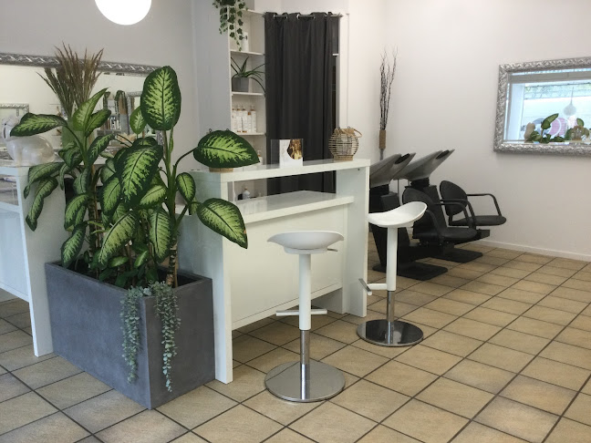 Rezensionen über Coiffeur Hair in Bern - Friseursalon