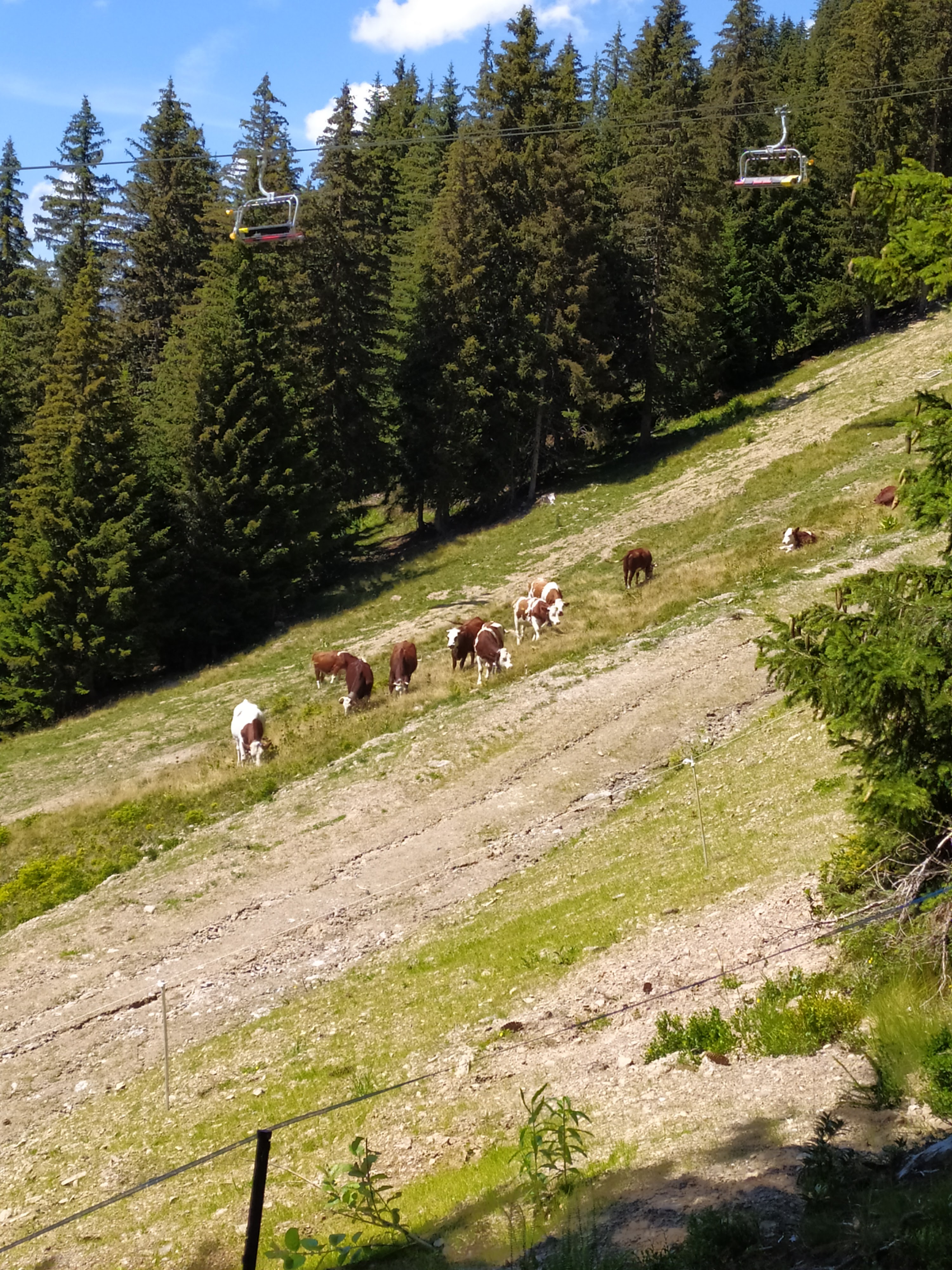 Photo n° 4 de l'avis de Benjamin.k fait le 25/07/2020 à 10:16