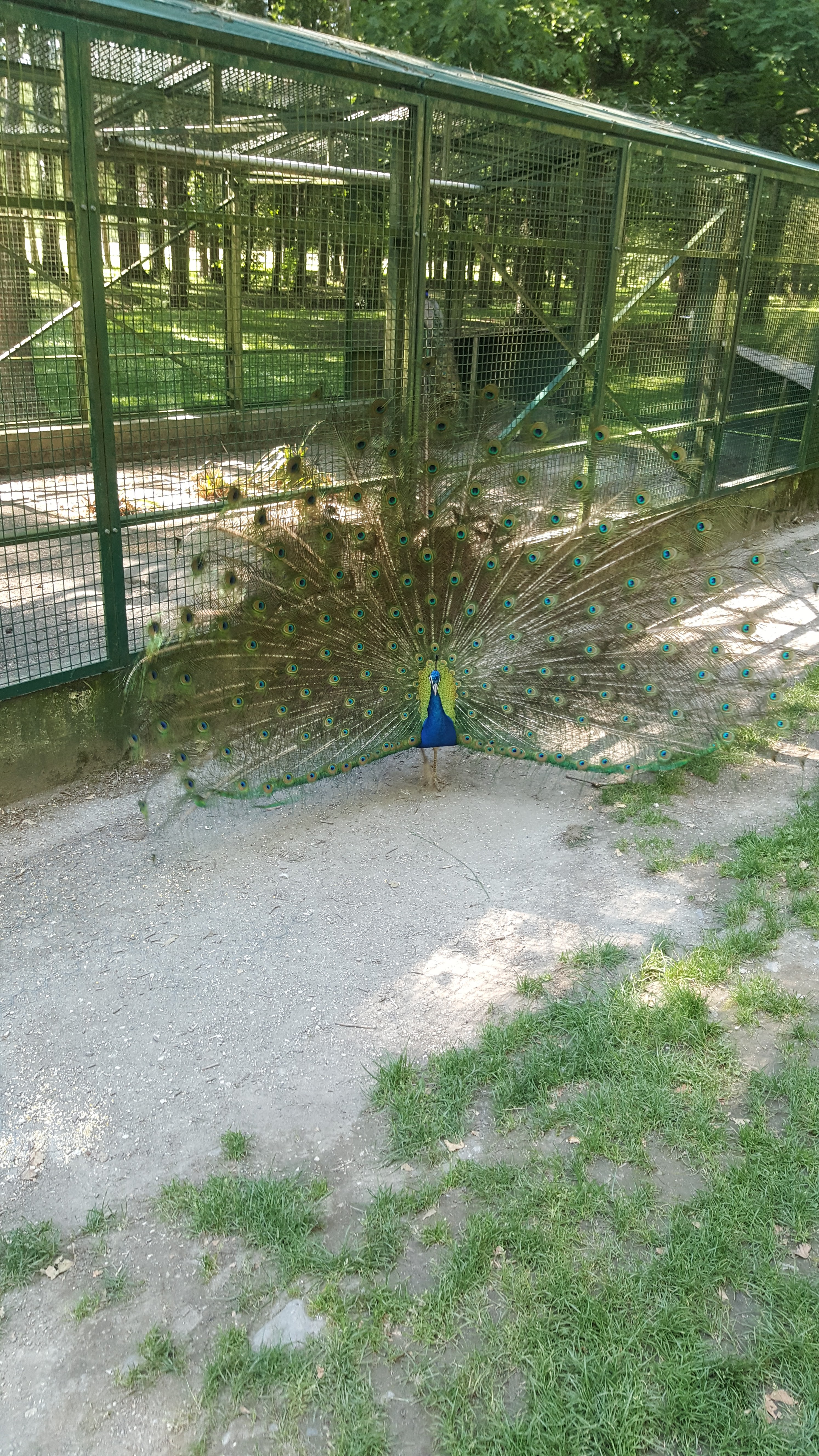 Photo n° 1 de l'avis de Damien.O fait le 09/06/2019 à 11:30