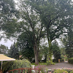 Photo n°5 de l'avis de Tina.z fait le 05/08/2023 à 17:23 sur le  Hotel Fliegerheim à Borkheide