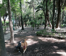 Parque Xicoténcatl photo