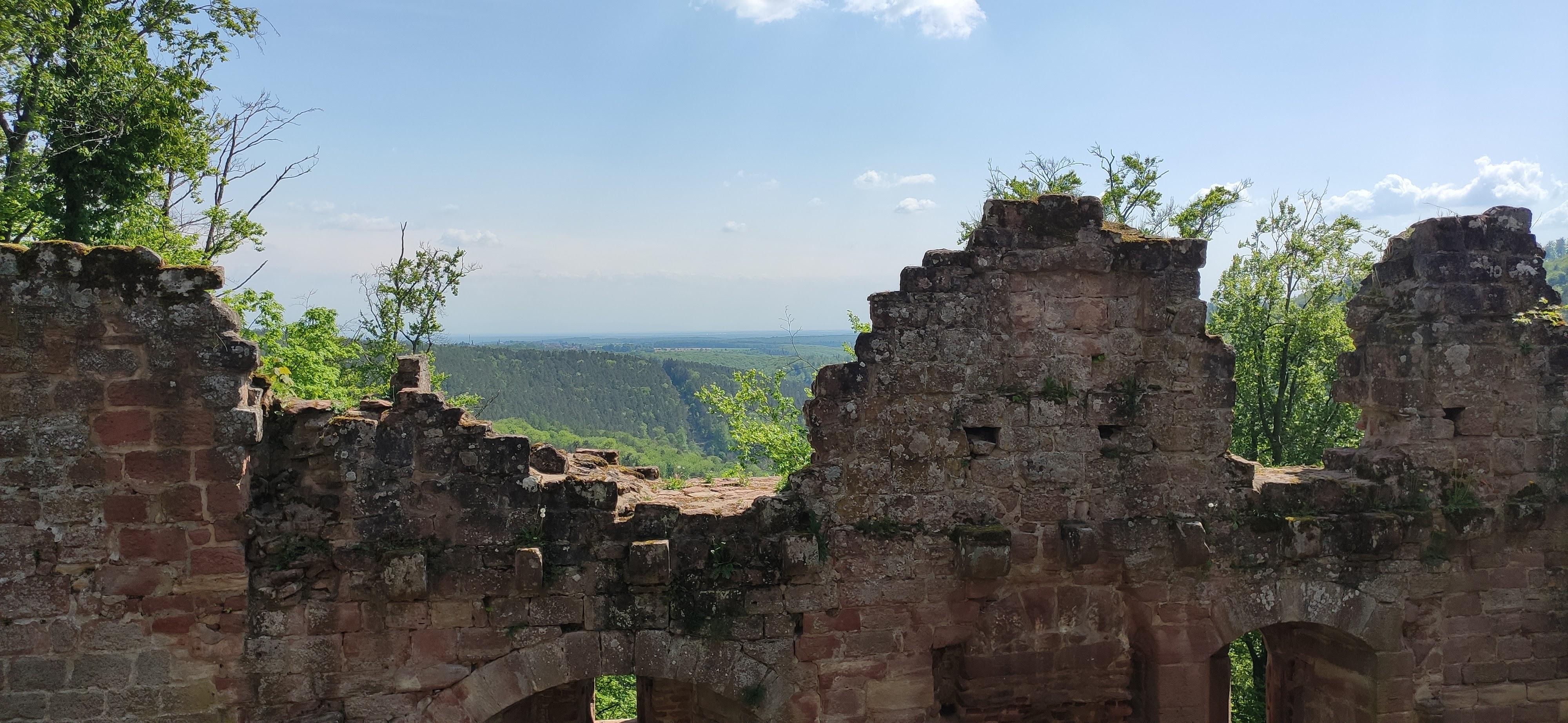 Photo n° 4 de l'avis de exil35. fait le 17/05/2022 à 17:51