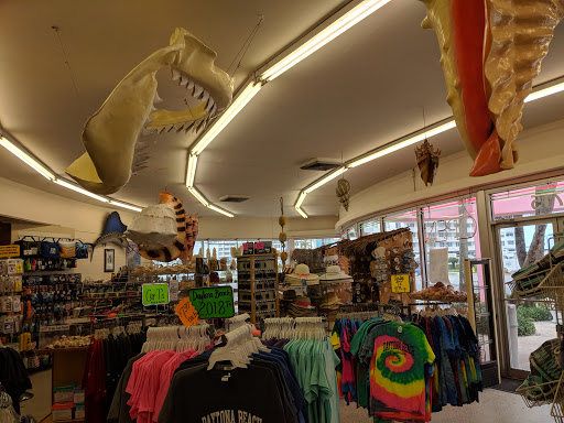 Gift Shop «Big Shark», reviews and photos, 2715 N Atlantic Ave, Daytona Beach, FL 32118, USA