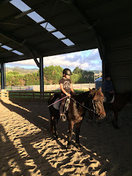 Pony-Tales, Pony Riding School, Waikanae.