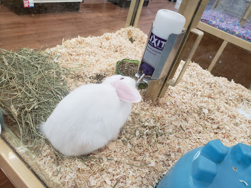Pet Store «Pet Supermarket», reviews and photos, 9798 Glades Rd, Boca Raton, FL 33434, USA