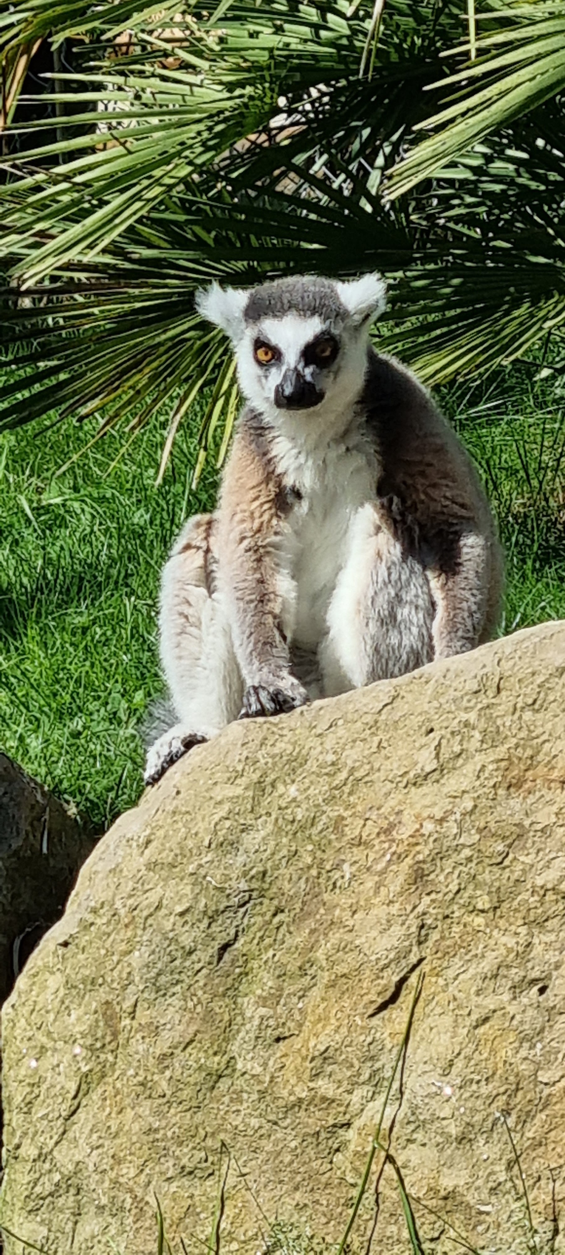 Photo n° 40 de l'avis de Anne.a fait le 25/04/2022 à 13:04