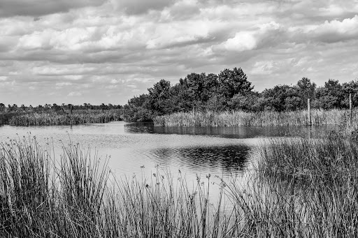 Wetland «Viera Wetlands», reviews and photos, 10001 N Wickham Rd, Melbourne, FL 32940, USA