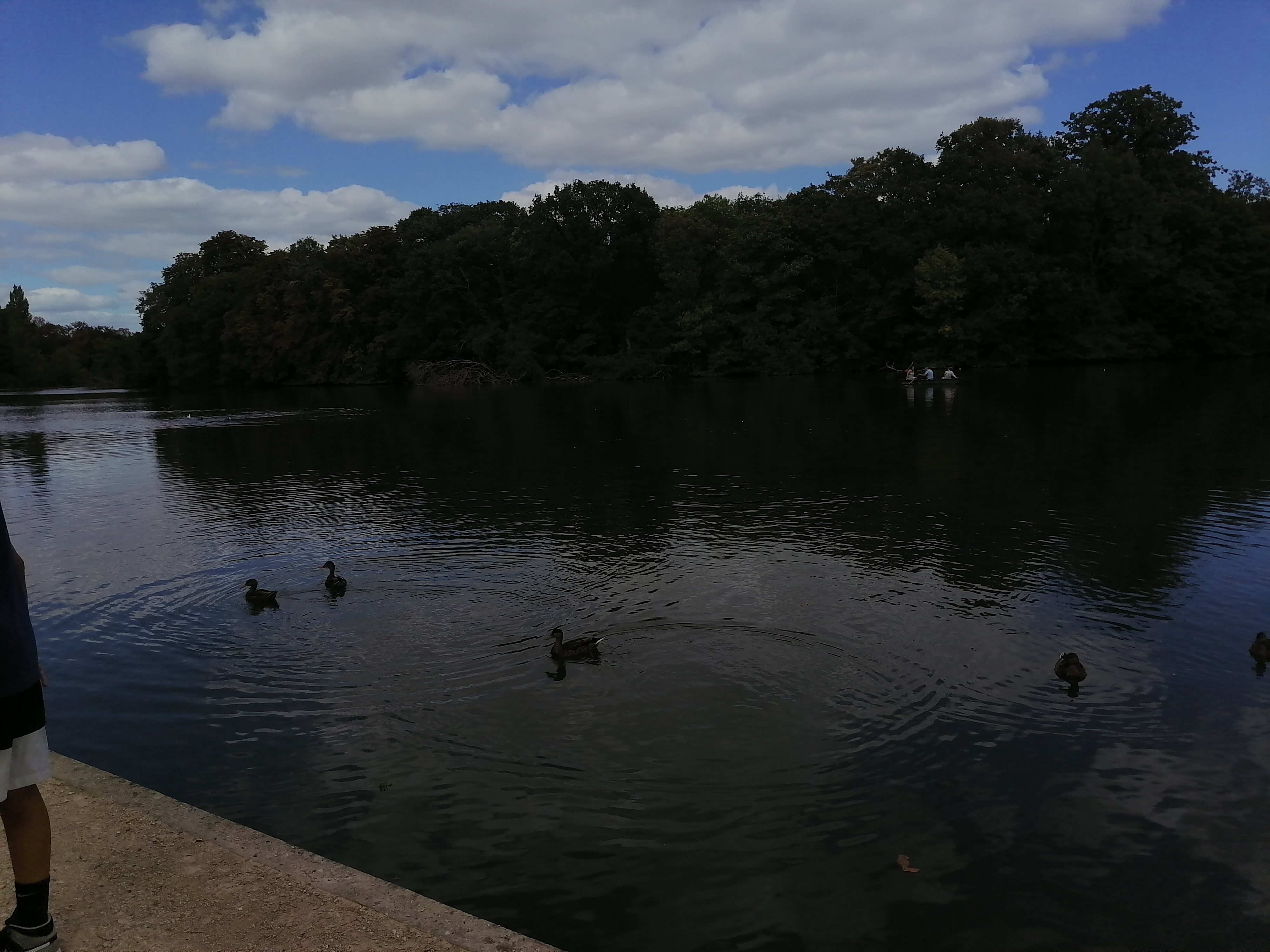 Photo n° 4 de l'avis de FC.h fait le 13/08/2023 à 17:55