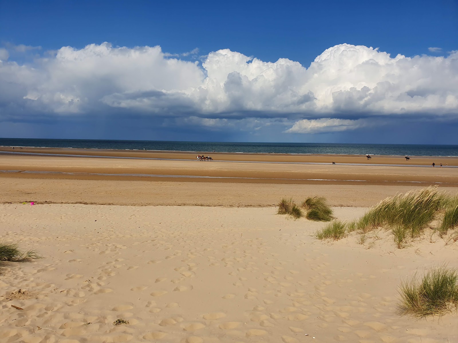Foto av Holkham beach beläget i naturområde