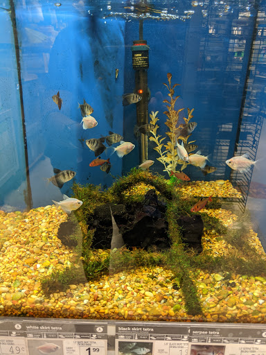 Pet Supply Store «Petco Animal Supplies», reviews and photos, 3464 Towne Blvd, Franklin, OH 45005, USA