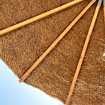 Photo n°3 de l'avis de Paola.i fait le 29/06/2020 à 08:25 sur le  Bamboo Beach Barletta à Barletta