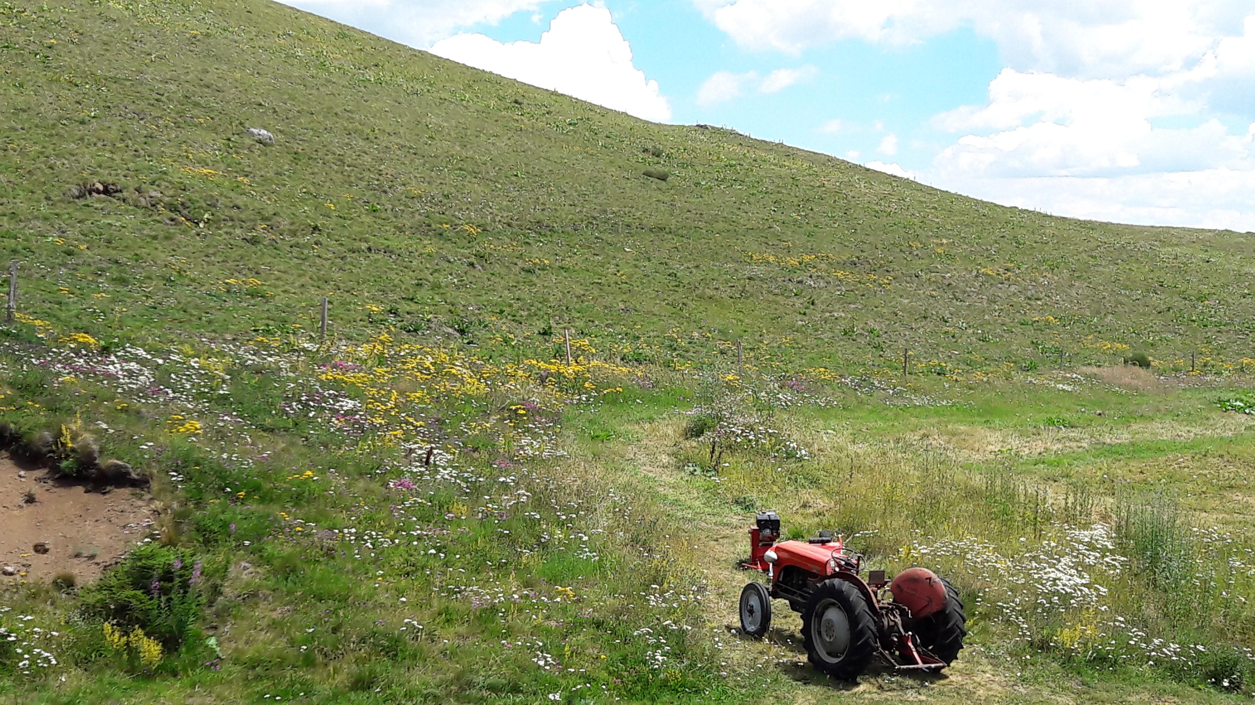 Photo n° 8 de l'avis de Fred.a fait le 24/07/2020 à 13:47
