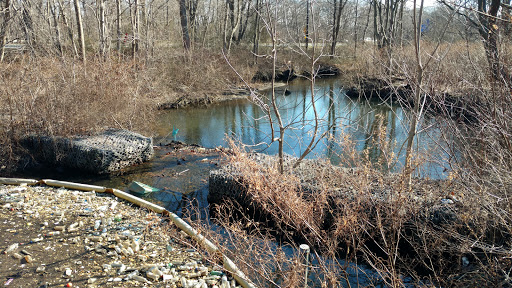 Park «Reverend Arthur Mackey Park», reviews and photos, 242 Elmwood Ave, Roosevelt, NY 11575, USA