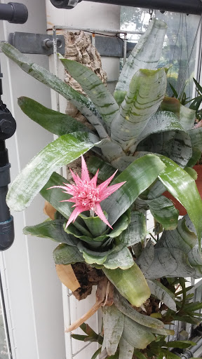 Botanical Garden «White River Gardens», reviews and photos, 1200 W Washington St, Indianapolis, IN 46222, USA