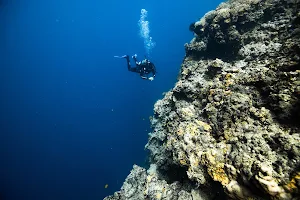 Cebu dive guide image