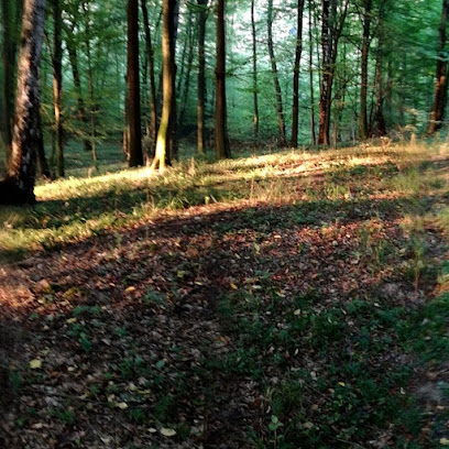 Vitčický les