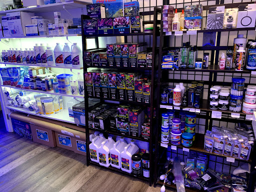 Seattle Corals Aquariums