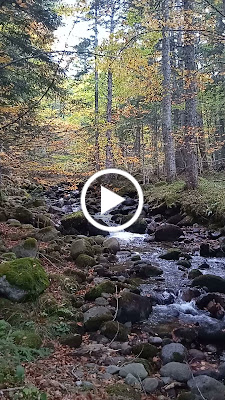Pont sur l'Aiguette à Counozouls