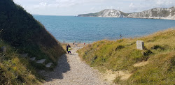 Worbarrow beach'in fotoğrafı ve güzel manzarası