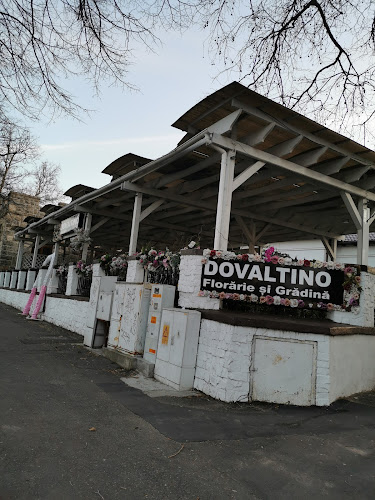 Floraria Dovaltino Constanta