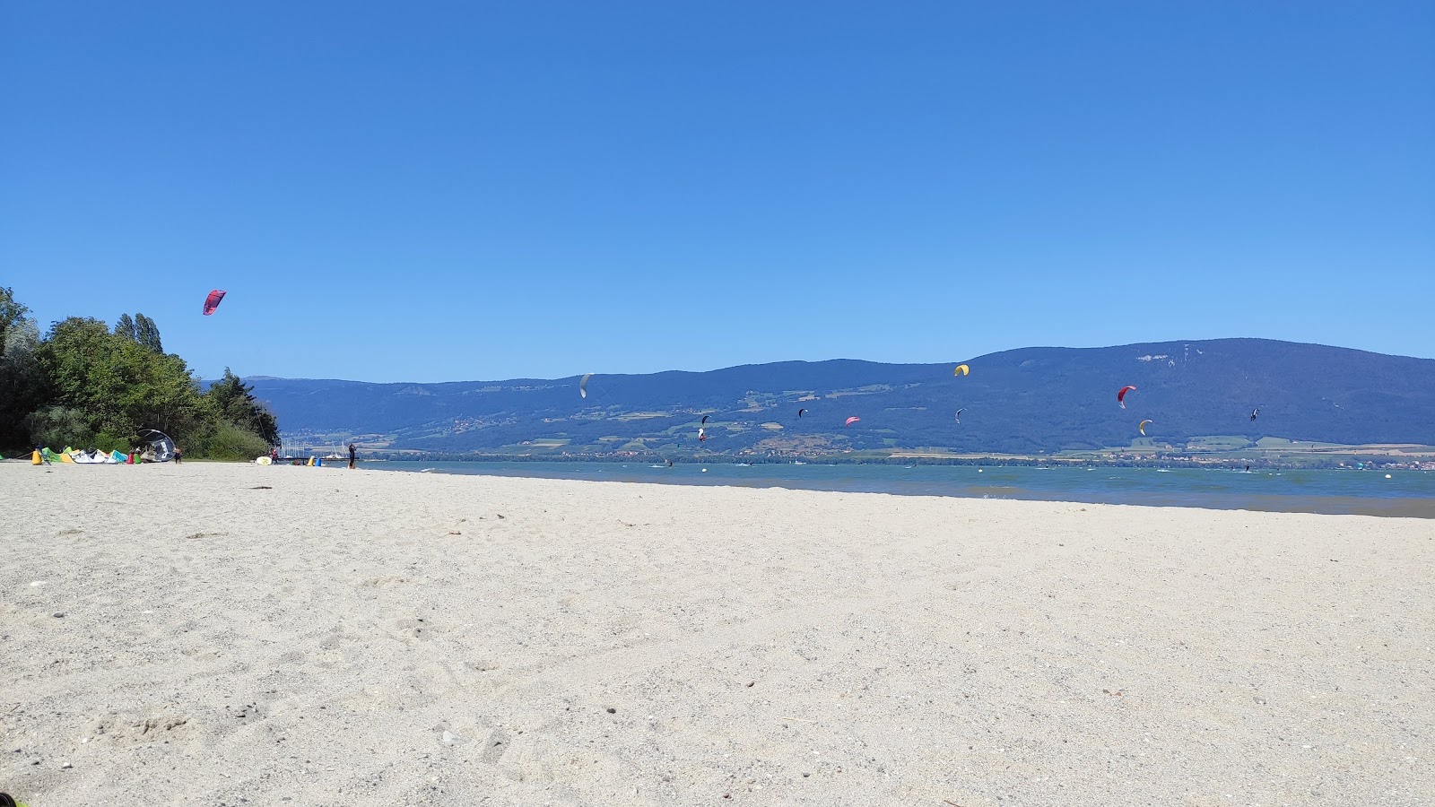 Φωτογραφία του Plage des Pins d'Yvonand με επίπεδο καθαριότητας πολύ καθαρό