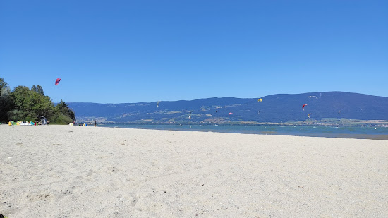 Plage des Pins d'Yvonand