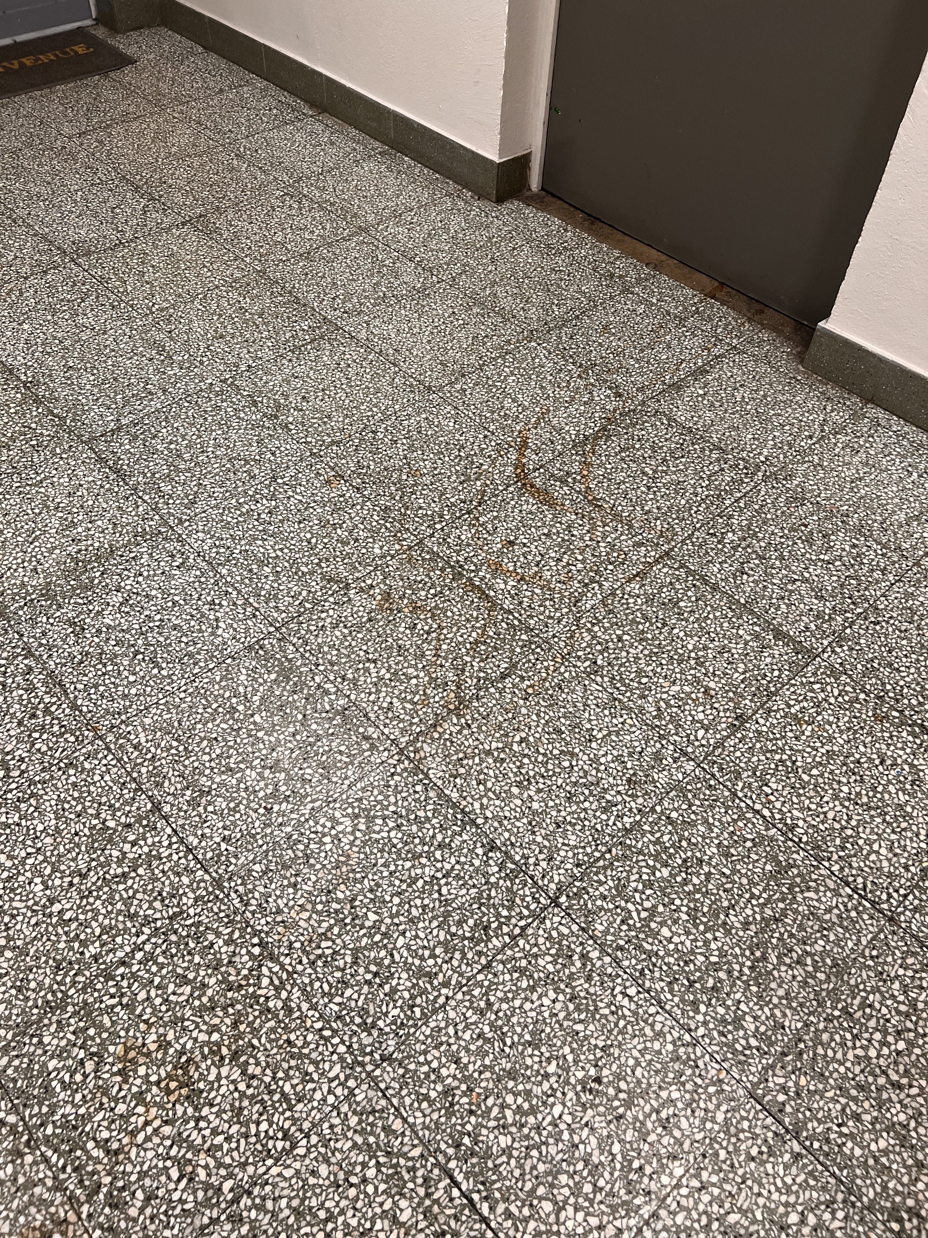 Photo n° 2 de l'avis de Louis.a fait le 22/05/2023 à 12:41