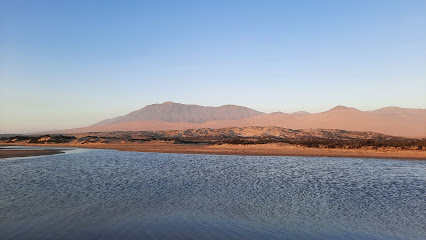 Humedal estuario del río Huasco