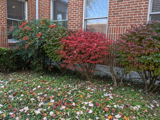 Social Services Organization «Ronald McDonald House», reviews and photos