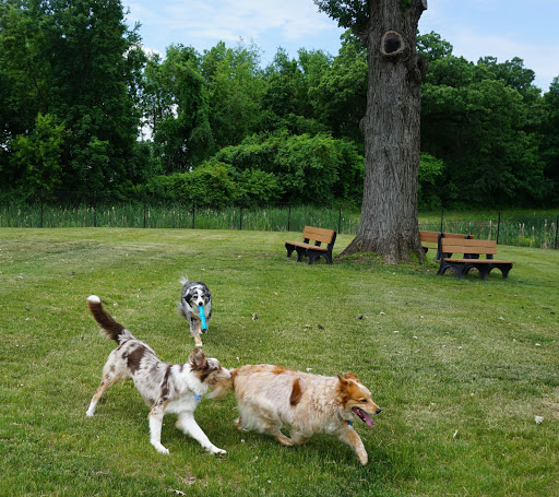 Subaru Dealer «Brilliance Subaru», reviews and photos, 1500 N Randall Rd, Elgin, IL 60123, USA