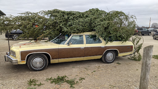 Christmas Tree Farm «Piney Acres», reviews and photos, 1115 E 1000 N, Fortville, IN 46040, USA