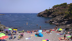 S'Alqueria gran Beach photo #6